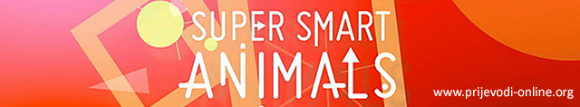 super_smart_animals
