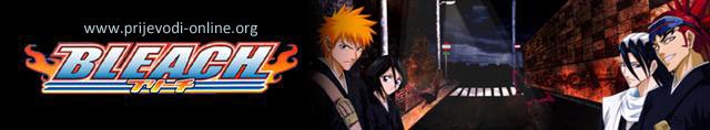 Bleach